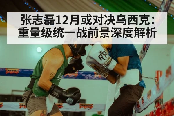张志磊12月或对决乌西克：重量级统一战前景深度解析