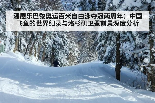 潘展乐巴黎奥运百米自由泳夺冠两周年：中国飞鱼的世界纪录与洛杉矶卫冕前景深度分析